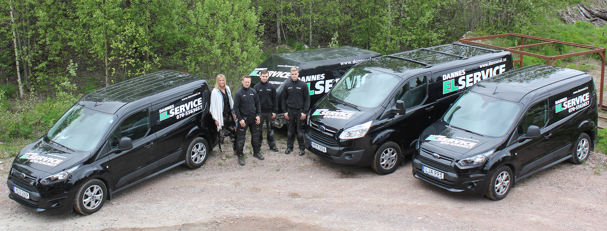 Dan Perssons Elservice AB logotyp